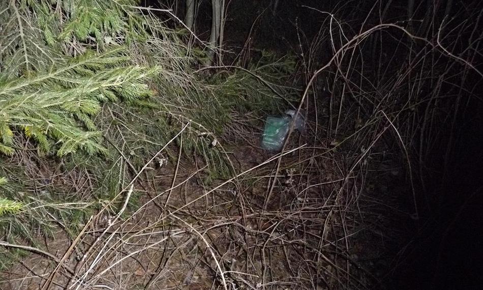 2012-2-28-1056marihuana 1.JPG